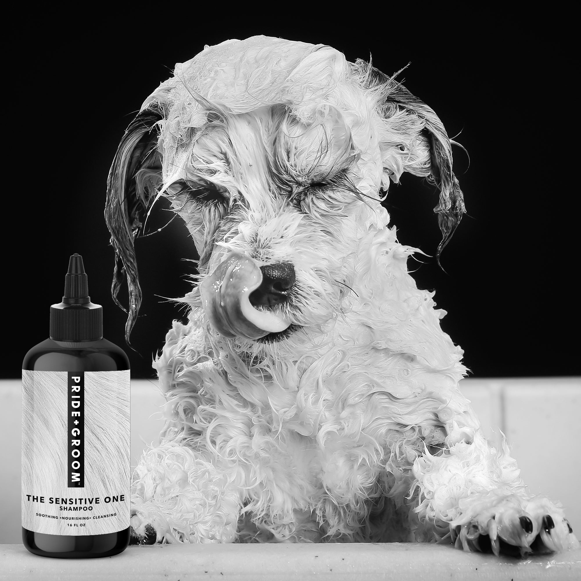 Pride + Groom THE SENSITIVE ONE Hypoallergenic Dog & Puppy Shampoo - Image 6