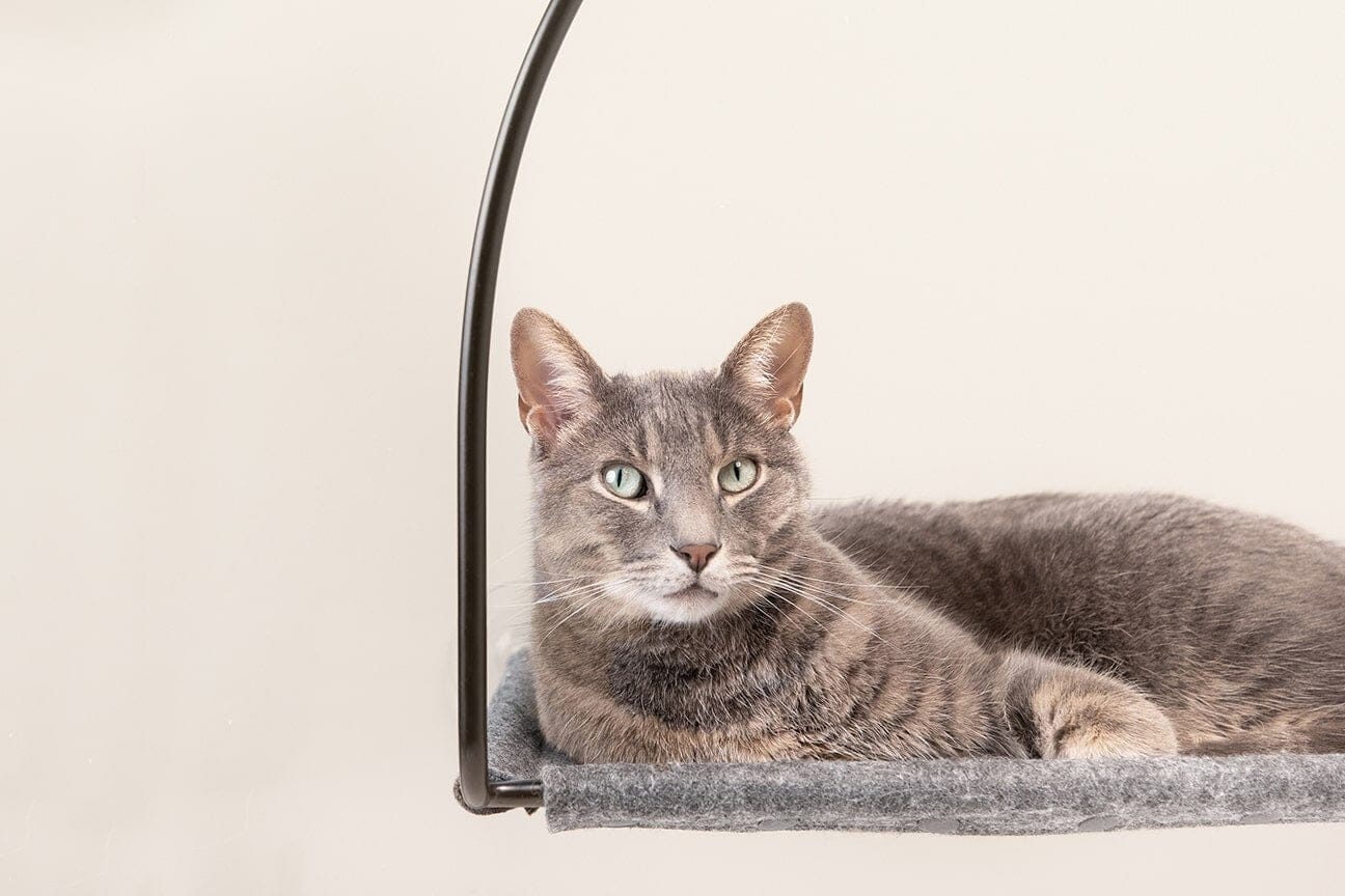 tuft + paw Cloud Nine Window Hammock - Image 3