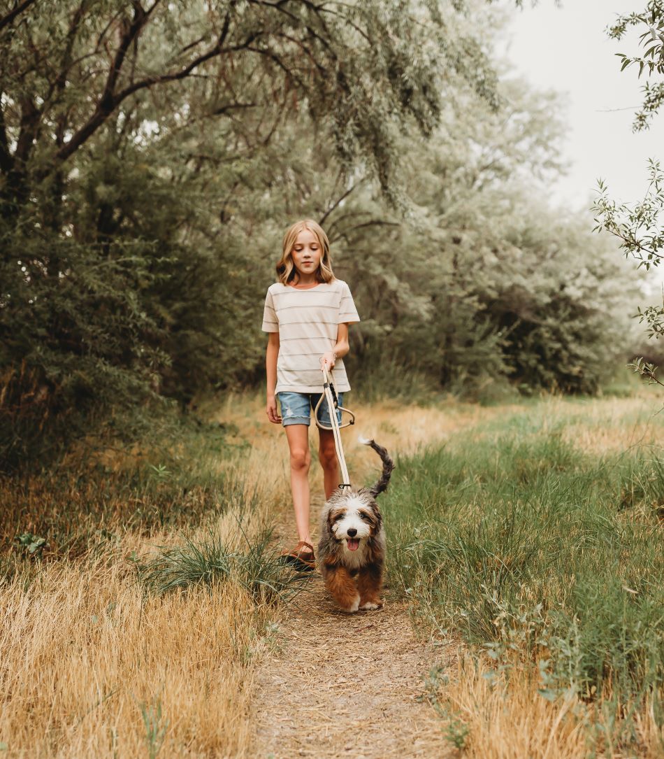 Child walking dog outdoors
