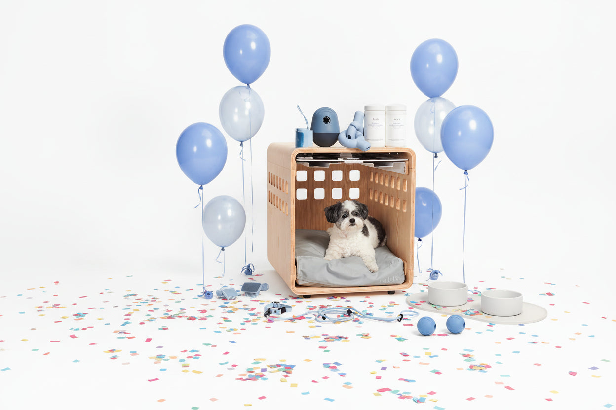 Ultimate Dog Set - Image 2
