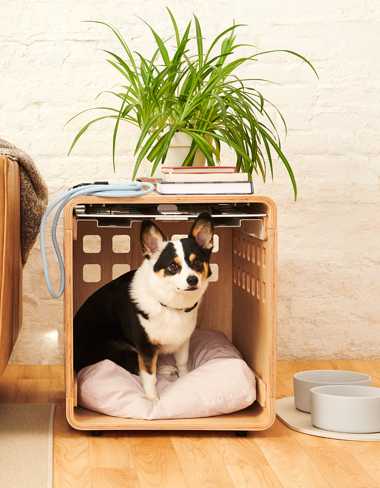 Signature Crate - Image 24