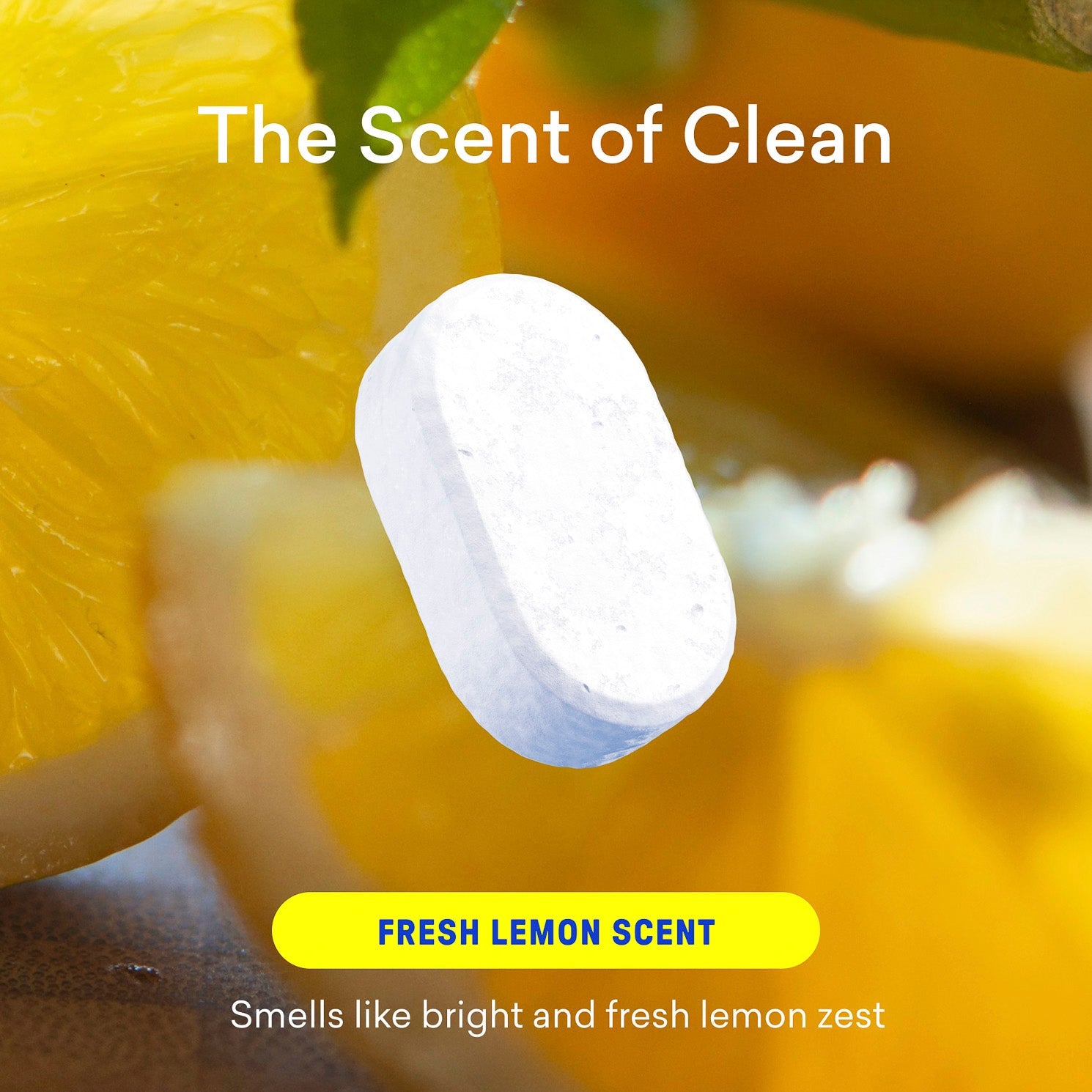 Multi-Surface Cleaner Starter Set - Image 3