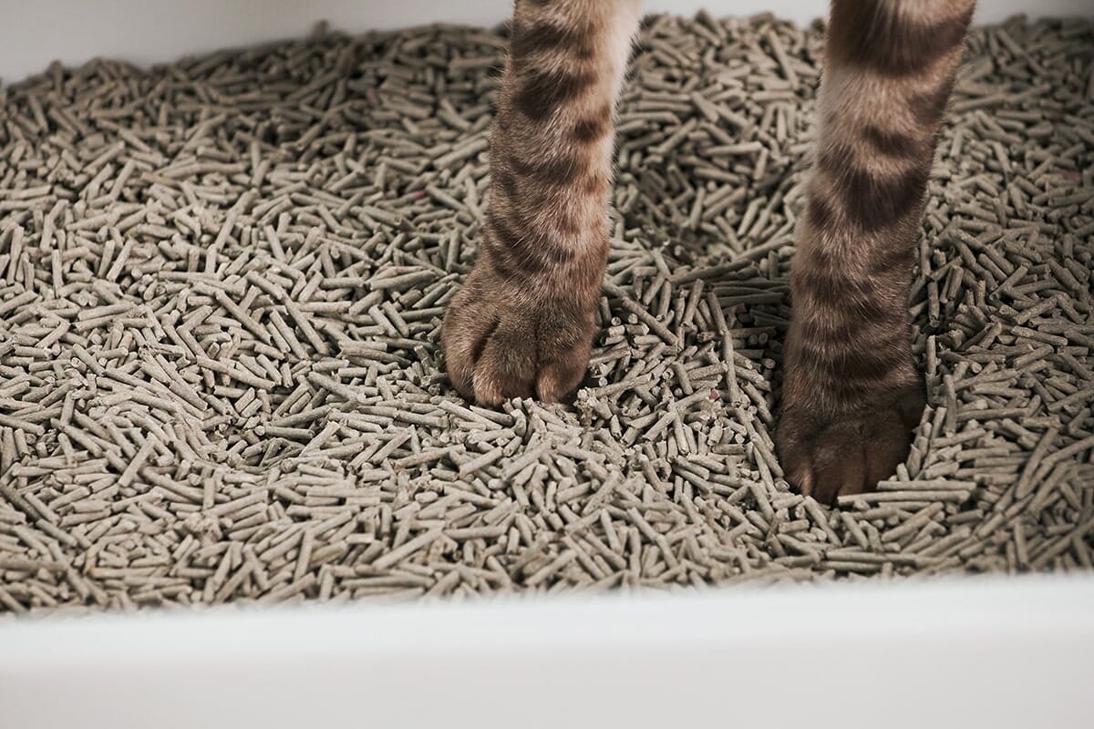 tuft + paw Cubby Litter Box - Image 5