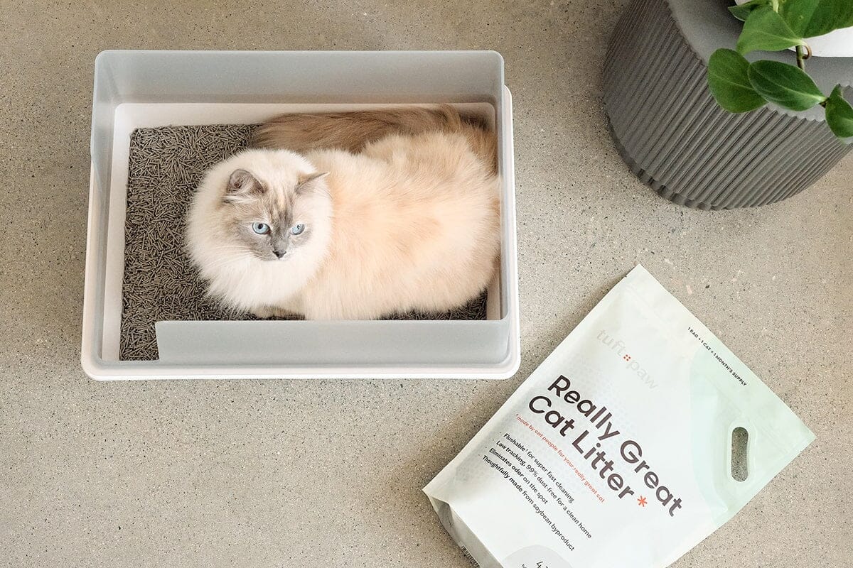 tuft + paw Cubby Litter Box - Image 6