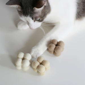 Catenary Pearl Toys