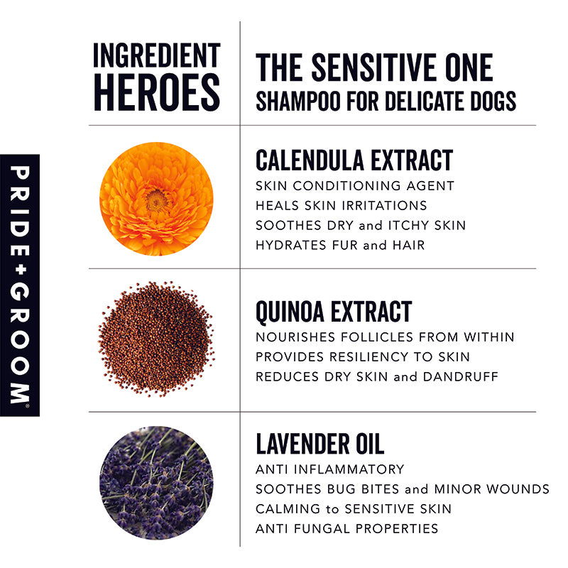 Pride + Groom THE SENSITIVE ONE Hypoallergenic Dog & Puppy Shampoo - Image 5