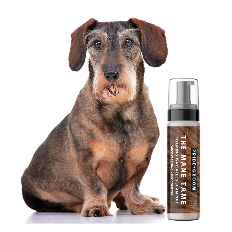 Pride + Groom THE MANE TAME Waterless Dog & Cat Shampoo - Image 5