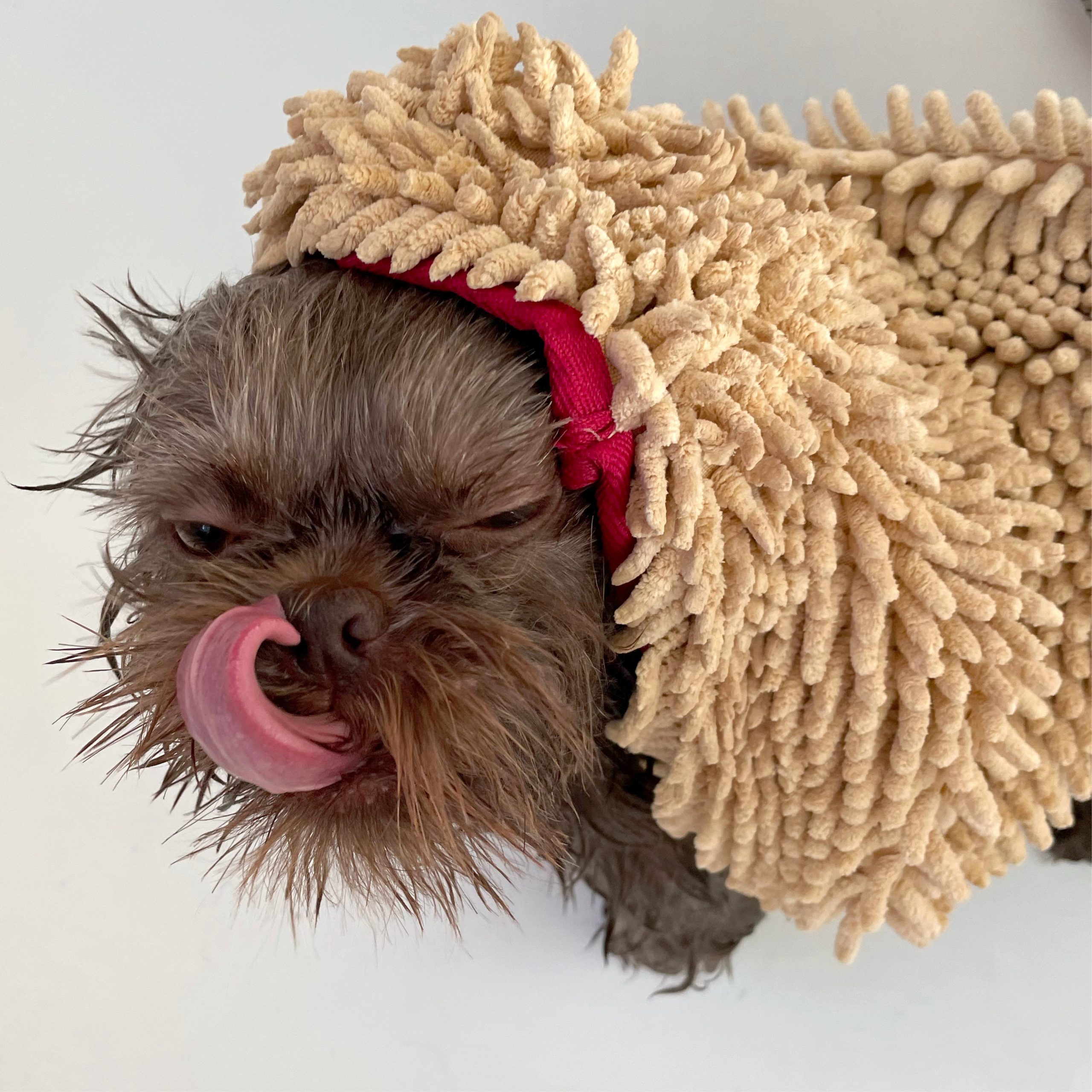 Pride + Groom THE TOWEL Microfiber Dog & Cat Drying Towel - Image 4
