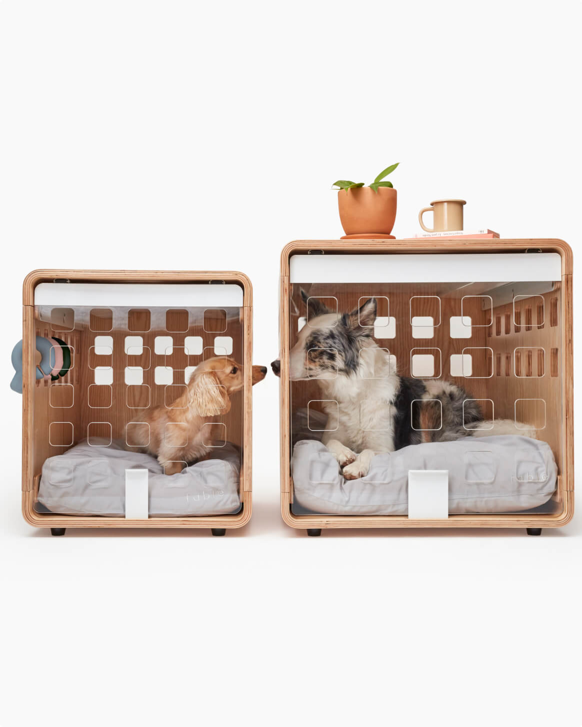 Signature Crate - Image 13