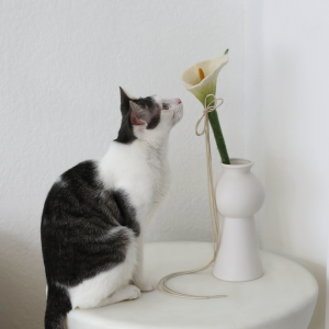 Catenary Flora Wand