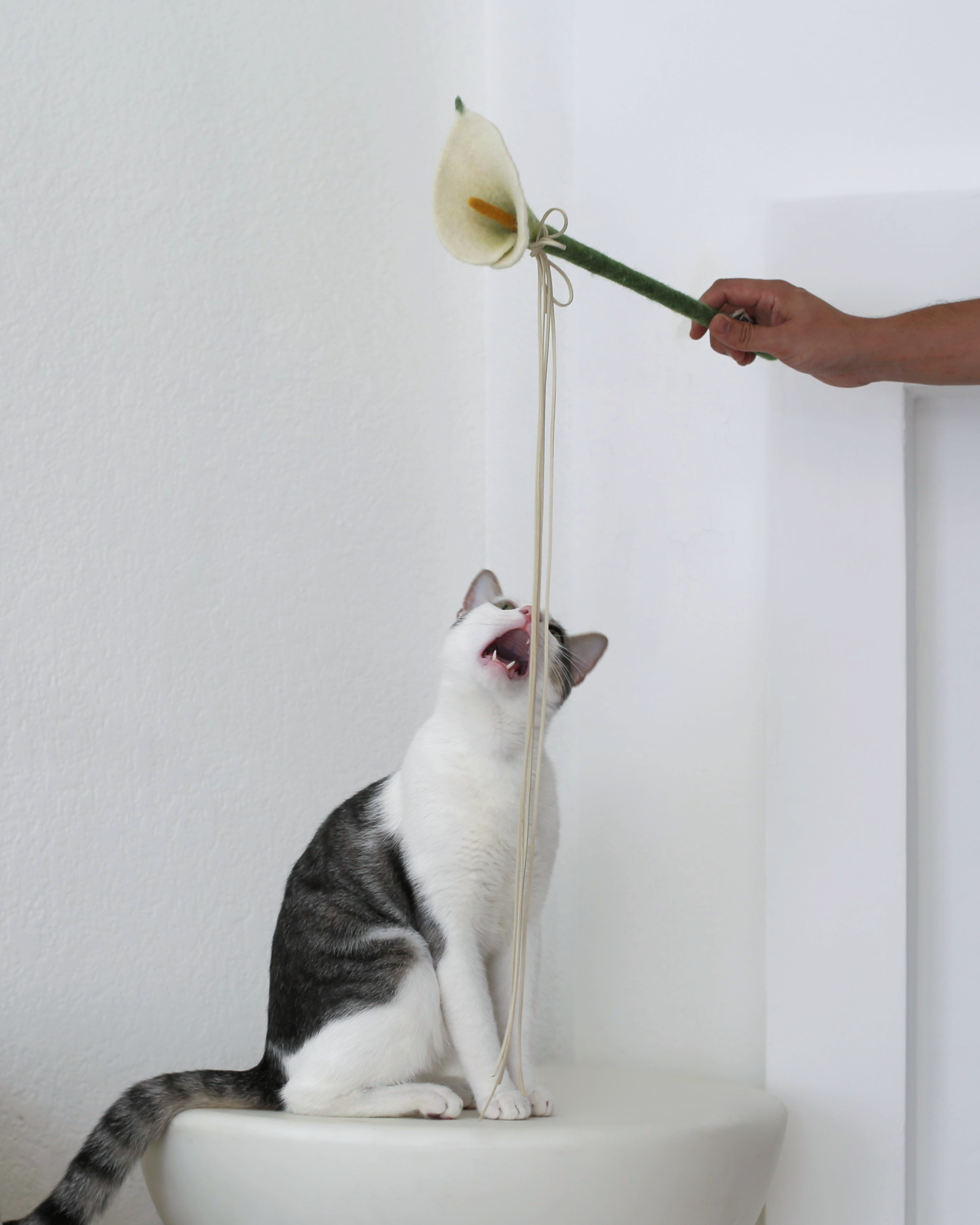Catenary Flora Wand - Image 2