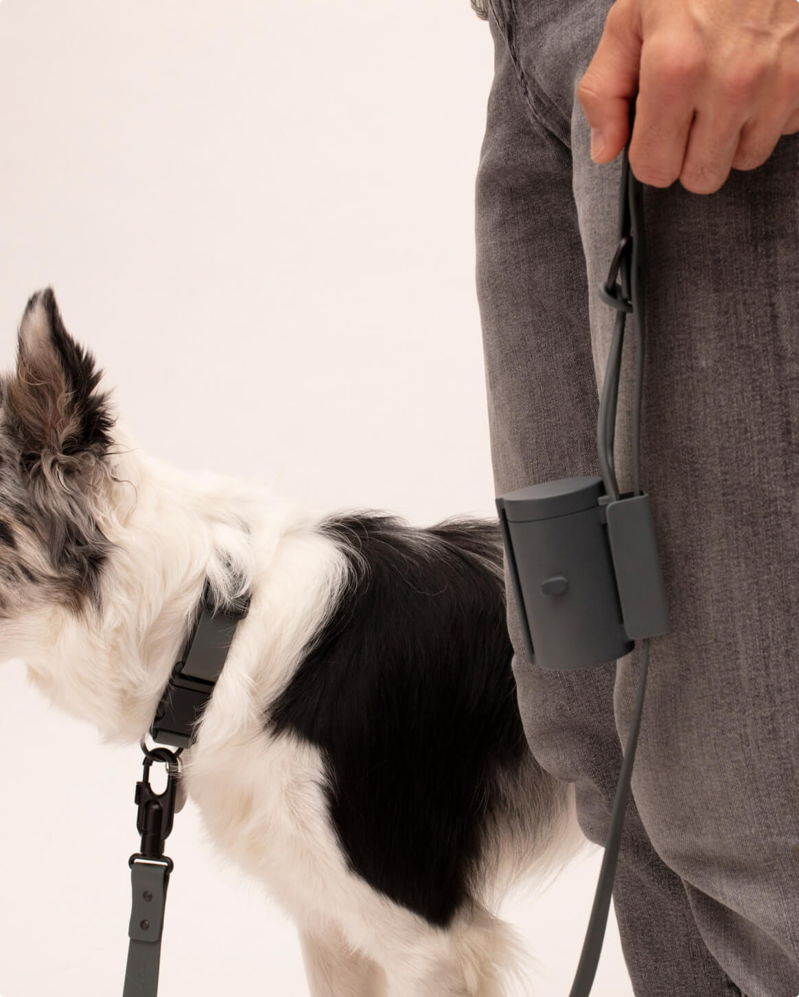 Signature Leash - Image 21