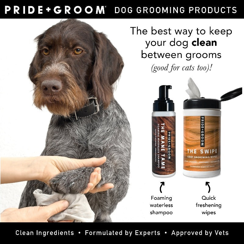 Pride + Groom THE MANE TAME Waterless Dog & Cat Shampoo - Image 4
