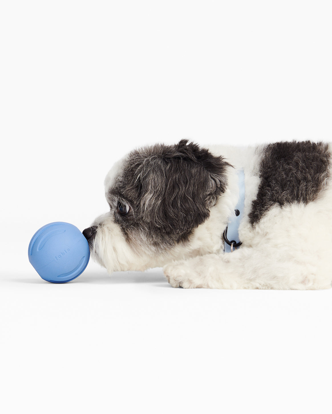 Signature Ball - Image 10