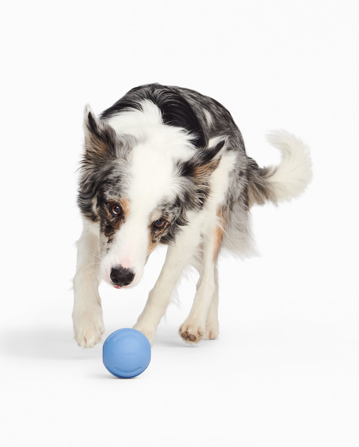 Signature Ball - Image 16
